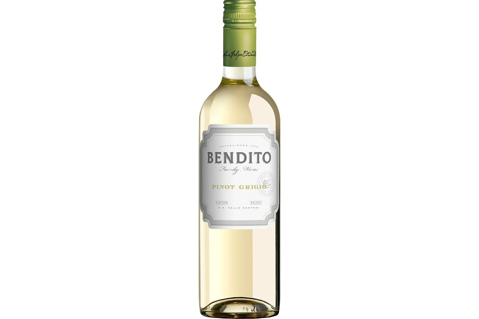 Classic Sauvignon Blanc